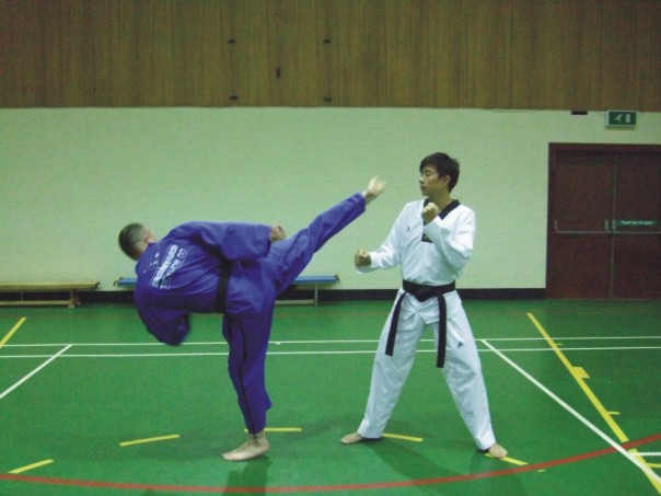 Picture of a reverse kick